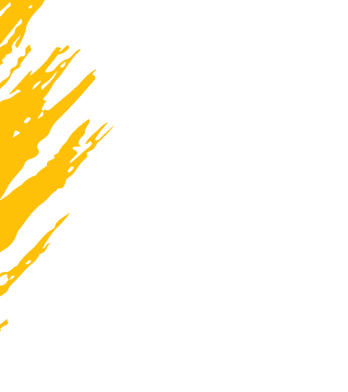 Éléments graphiques WilDev - design digital et innovation technologique